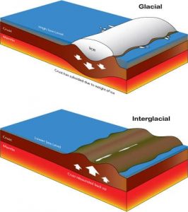 Isostatic uplift affects the volume of ocean basins