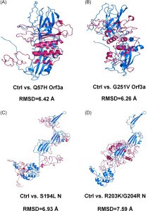 Comparisons of protein structures between SARS-CoV-2 control and mutant proteins