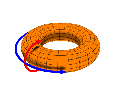 A diagram depicting the poloidal (θ) direction and the toroidal (ζ) or (ϕ) direction