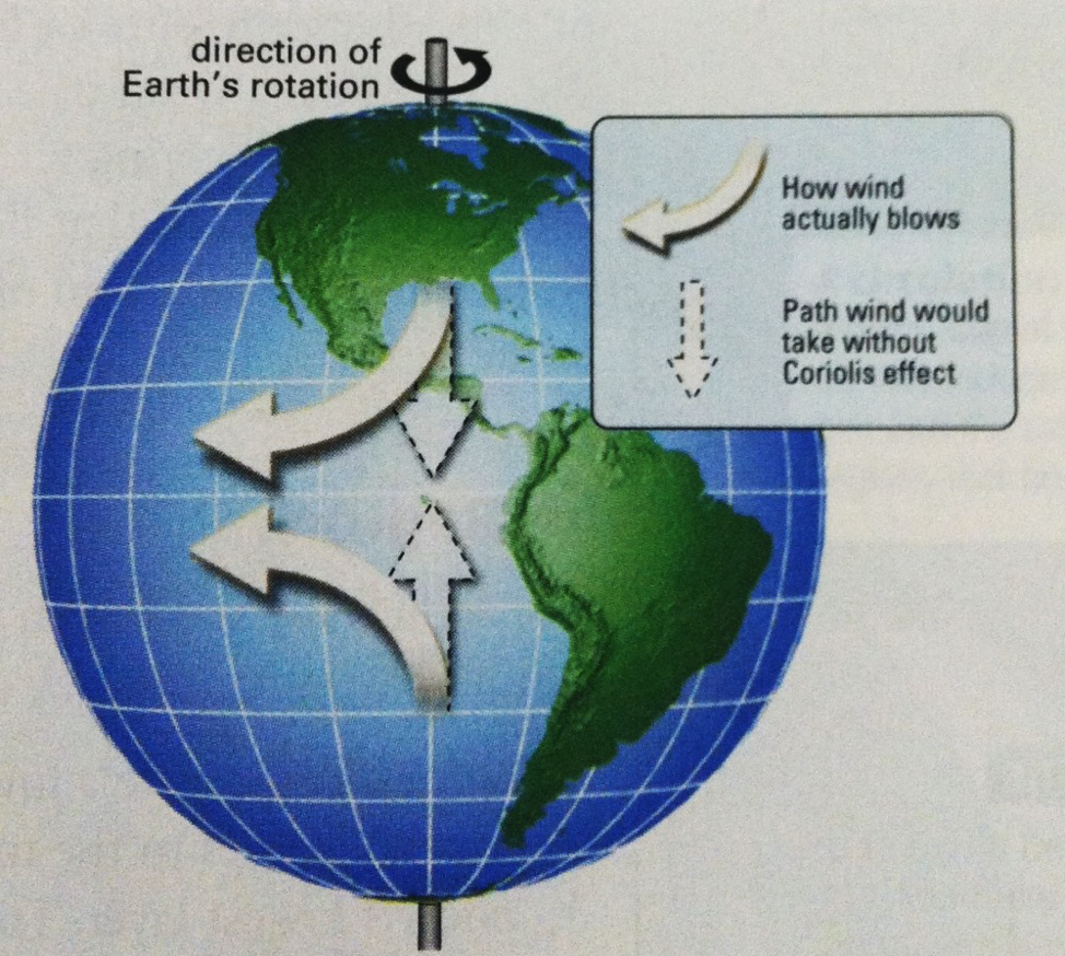 coriolis effect on winds in Northern and Southern hemispheres