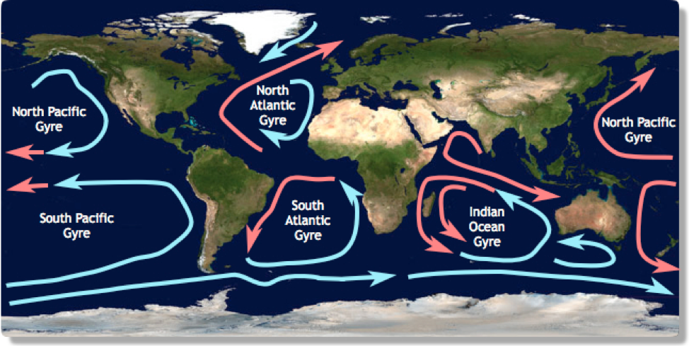 The major ocean gyres