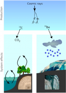 14C and 10Be are both produced by nuclear reactions of cosmic ray particles with the atmospheric gases. After production, their fate is very different (system effects). 10Be attaches to aerosols and is transported within a few years to the ground. 14C oxidizes to CO2 and enters the global carbon cycle, exchanging between atmosphere, biosphere, and the oceans.