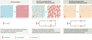 Herd immunity for highly contagious diseases