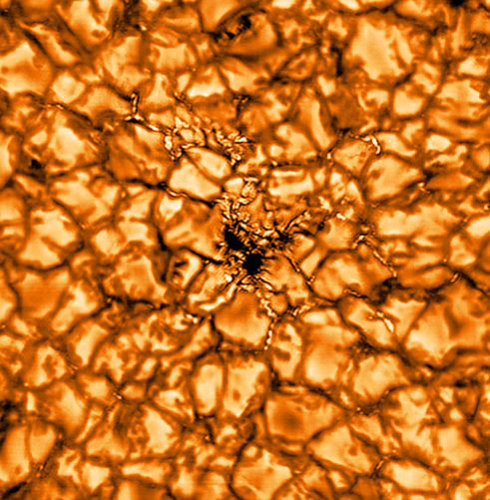solar granules; convection cells in the solar plasma