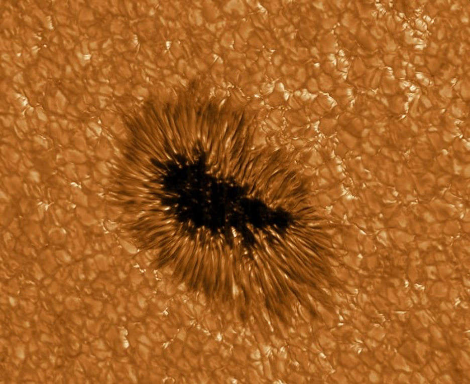 sunspots and solar granules